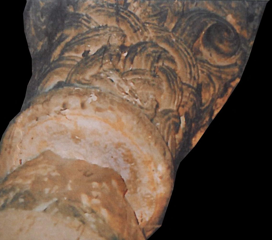 CATEDRAL DE JACA CAPITELESA.Garcia Omedes